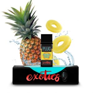 PLUG EXOTICS: Pineapple Cooler