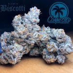 Biscotti - Indoor