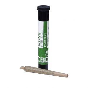 CBD Living PRE-ROLL PINEBERRY
