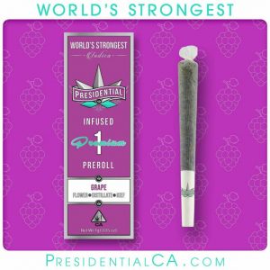 Presidential Moon Rock Preroll - Grape (1g)