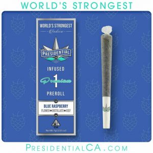 Presidential Moon Rock Preroll - B Raspberry (1g)