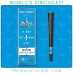 Presidential Moon Rock Preroll - Tropical (1g)