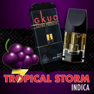 Tropical Storm THC Pod