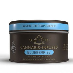 Blueberries in Dark Chocolate