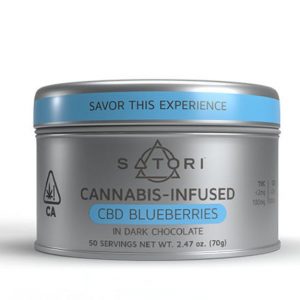 CBD Blueberries in Dark Chocolate