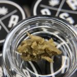 Jack Herer Hash Rosin