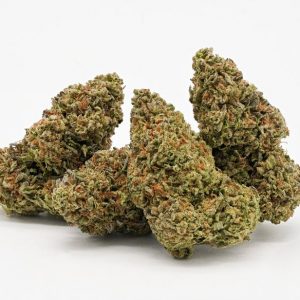 Sugar Cone- Outdoor