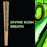 Korova - Divine Kush Breath (All Flower) Joint, 1g