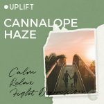 (MED) Claw Cannabis- 1G Pod- Cannalope Haze