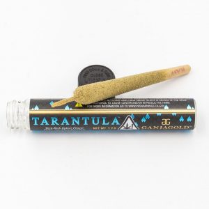 Blue Tarantula Infused Pre-Roll (1.2g Indoor)