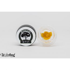 Holy Grail Live Sugar