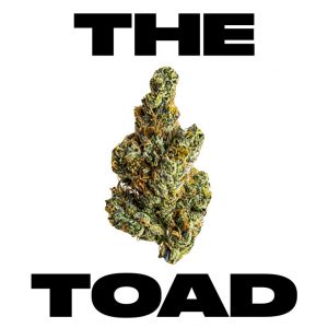 The Toad