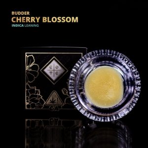 Cherry Blossom Budder