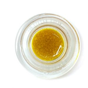 F/ELD X Connected - Biscotti - Sauce