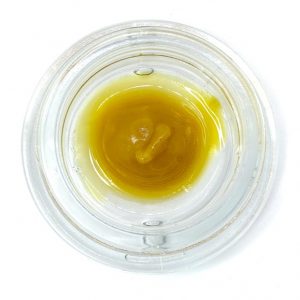 Beezle X Connected - Biscotti - Budder