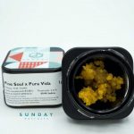 1g Concentrate Cured Resin - Pine Soul x Pura