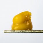 GMO Live Budder