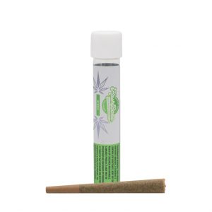 Sunset Sherbet / Pacific Island 1G Pre-Roll