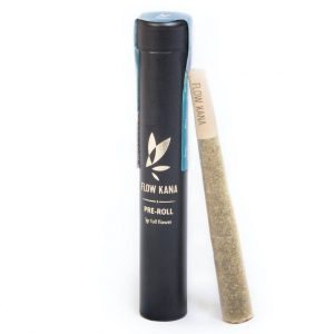 Equinox grown by Emerald Spirit Botanicals