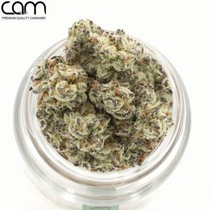 CAM Oreoz - Indoor (3.5g)