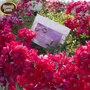 Berry Crunch Treat 100mg