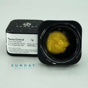 1g Cured Resin Concentrate Peyote Critical