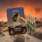 Space Coyote Sativa Live Resin 5-Pack