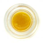 F/ELD X Connected - Biscotti X Gushers - Sauce