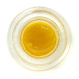 F/ELD X Connected - Biscotti X Gushers - Sauce