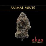 Animal Mints
