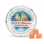 PLUS Strain- Sugar Plum