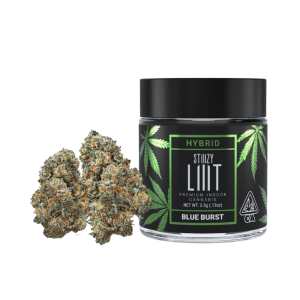 Blue Burst - LIIIT FLOWER