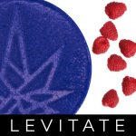 Blue Raspberry Gummy (Single) - 50mg