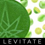 Key Lime Gummy (Single) - 50mg