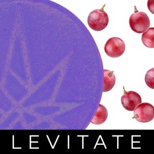 Grape Gummy (10 Pack) - 100mg