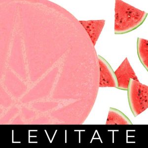 Watermelon Gummy (10 Pack) - 100mg