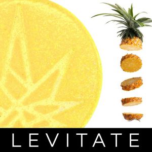 Pineapple Gummy (4 Pack) - 200mg