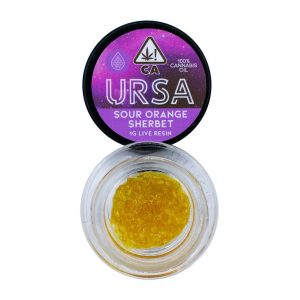 Sour Orange Sherbet Live Resin