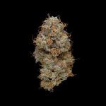 High Frequency (Sativa)