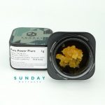 1g Concentrate Pure Power Plant