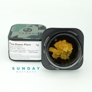 1g Concentrate Pure Power Plant