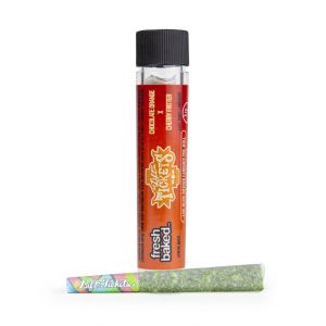 0.5g Infused: Chocolate Orange x Cherry Fritter