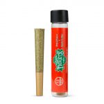 Dosiface x Apple Fritter - 1.5g Infused PreRoll