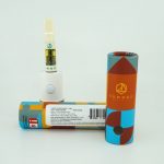 Cured Resin 0.5g Cartridge - GSC Extreme