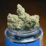 Orange Daiquiri by @PeakOrganics (2.5% TERPS)