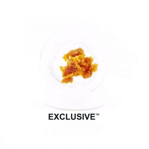 CONCENTRATE KINGS MANGO PUFF SUGAR 1G