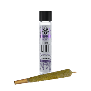 STIIIZY OG - LIVE RESIN INFUSED PRE-ROLLS
