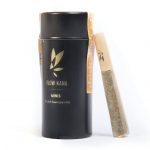 Magic Melon grown by Sticky