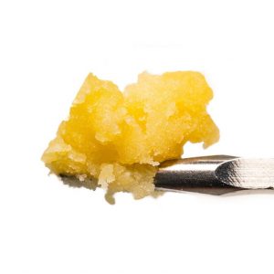 Purple Punch Live Resin Badder
