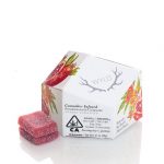 Pomegranate 1:1 CBD:THC Enhanced Gummies 100mg